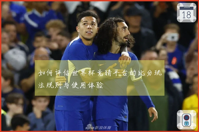 如何评估世界杯竞猜平台的比分玩法规则与使用体验