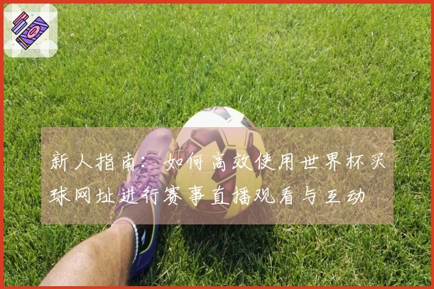 新人指南：如何高效使用世界杯买球网址进行赛事直播观看与互动