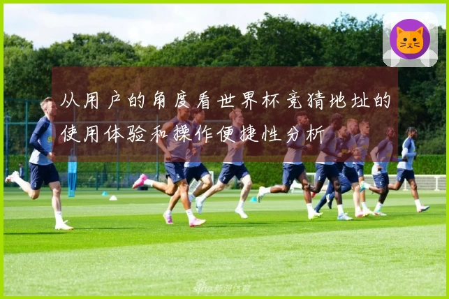 从用户的角度看世界杯竞猜地址的使用体验和操作便捷性分析