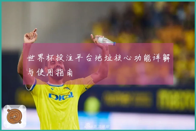 世界杯投注平台地址核心功能详解与使用指南