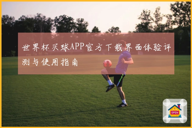 世界杯买球APP官方下载界面体验评测与使用指南