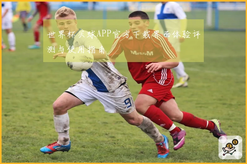 世界杯买球APP官方下载界面体验评测与使用指南