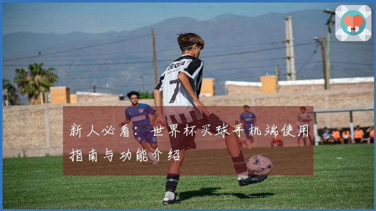 新人必看：世界杯买球手机端使用指南与功能介绍
