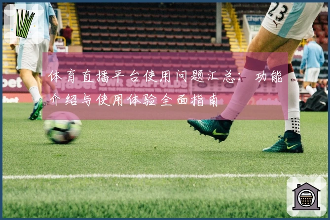 体育直播平台使用问题汇总：功能介绍与使用体验全面指南